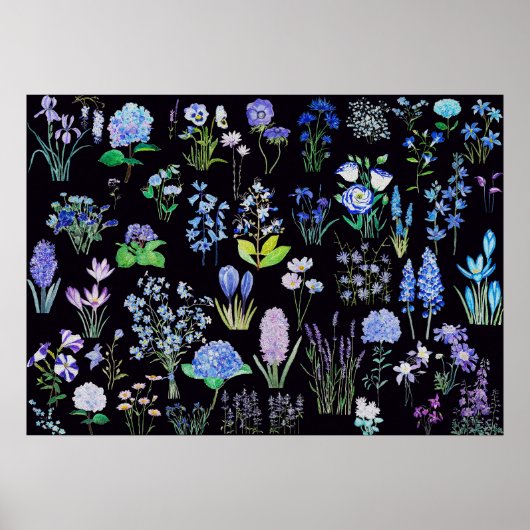 Blauwe en paarse bloemen zwarte achtergrond poster (Voorkant)