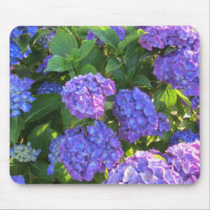 Blauwe en Paarse hydrangeas Muismat
