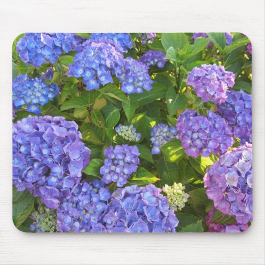 Blauwe en Paarse hydrangeas Muismat (Voorkant)