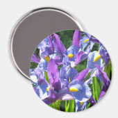 Blauwe en Paarse Irissmagneet Magneet (Voorkant / Achterkant)