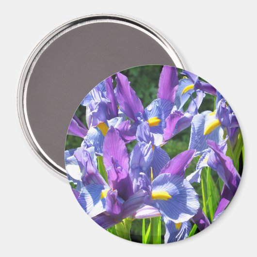 Blauwe en Paarse Irissmagneet Magneet (Voorkant / Achterkant)