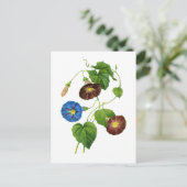 Blauwe en Paarse Morning Glory Vines van Redoute Briefkaart (Staand voorkant)