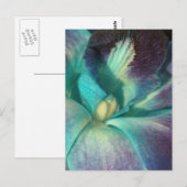 Blauwe en paarse orchidee close-up briefkaart (Voorkant / Achterkant)