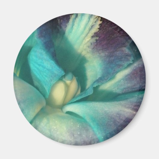 Blauwe en paarse orchidee close-up magneet (Voorkant)