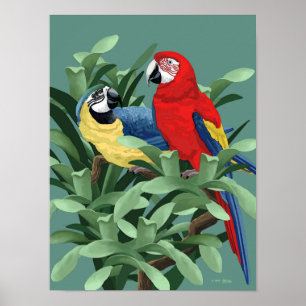 Blauwe en rode Macaw Posters en Art Prints