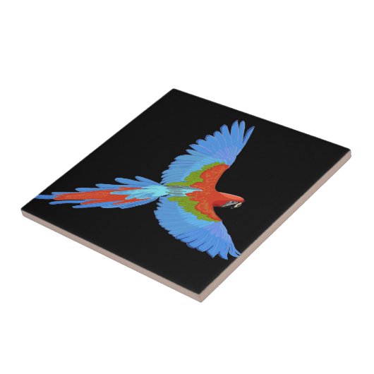 Blauwe en rode Macaw Tegeltje (Zijkant)