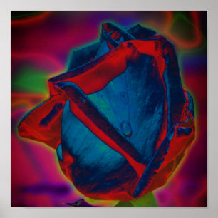 Blauwe en rode rosebud regendruppel Abstracte bloe Poster