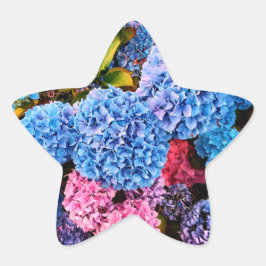 Blauwe en roze bloemen ster sticker