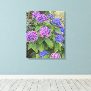 Blauwe en Roze Hortensia Bloesems Bloemstuk Canvas Afdruk