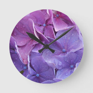 Blauwe en roze hortensie dichtbij ronde klok