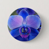 Blauwe en roze orchidee Button (Voorkant)