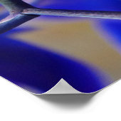 Blauwe en roze orchideeën poster (Hoek)