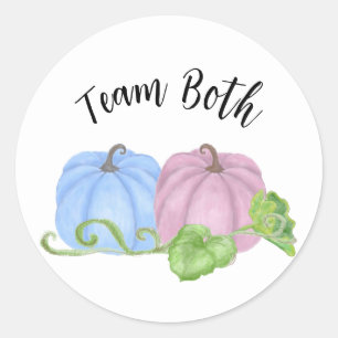 Blauwe en Roze pompoen tweeling gender onthullen T Ronde Sticker