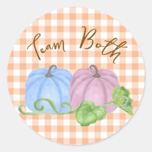 Blauwe en roze pompoen tweeling geslacht onthullin ronde sticker