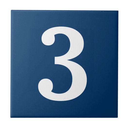 Blauwe en witte dakpannen tegeltje (Voorkant)