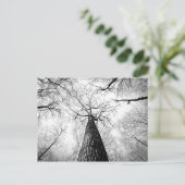 Blauwe en witte herfst bosfoto briefkaart (Staand voorkant)