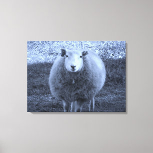 Blauwe en witte moederschapen. canvas afdruk