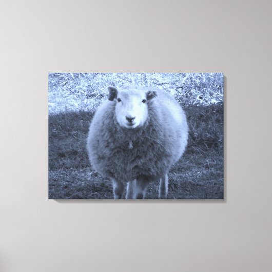 Blauwe en witte moederschapen. canvas afdruk (Voorkant)