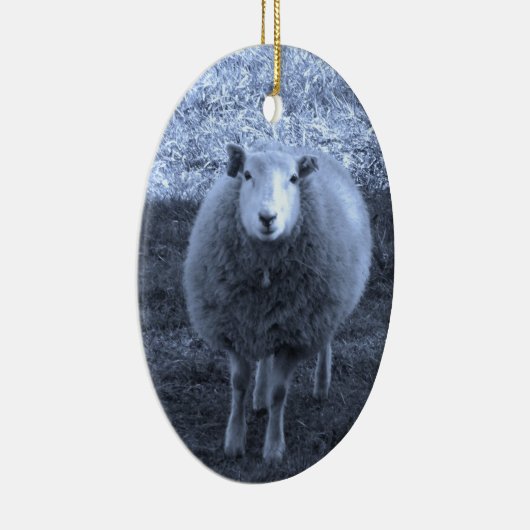 Blauwe en witte moederschapen keramisch ornament (Rechts)