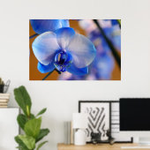 Blauwe en witte orchidee poster (Thuiskantoor)