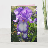 Blauwe en witte rode Iris bloemen florale Kaart (Voorkant)