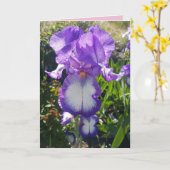 Blauwe en witte rode Iris bloemen florale Kaart (Gele Bloem)