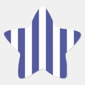 Blauwe en witte strepen ster sticker (Voorkant)