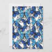 Blauwe en witte vlinders Morpho Monarch Kaart (Achterkant)