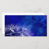 Blauwe en witte winterpine-fotokaart (Voorkant / Achterkant)