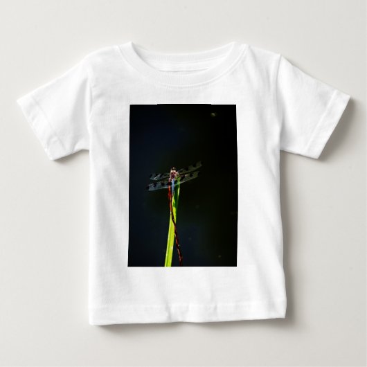 Blauwe en zwarte Dragonfly op groen en rood gras (Voorkant)