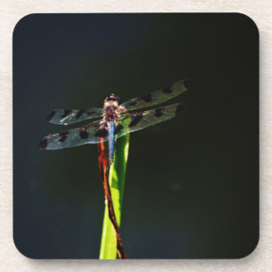 Blauwe en zwarte Dragonfly op groen en rood gras Bier Onderzetter