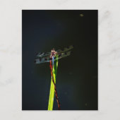 Blauwe en zwarte Dragonfly op groen en rood gras Briefkaart (Voorkant)