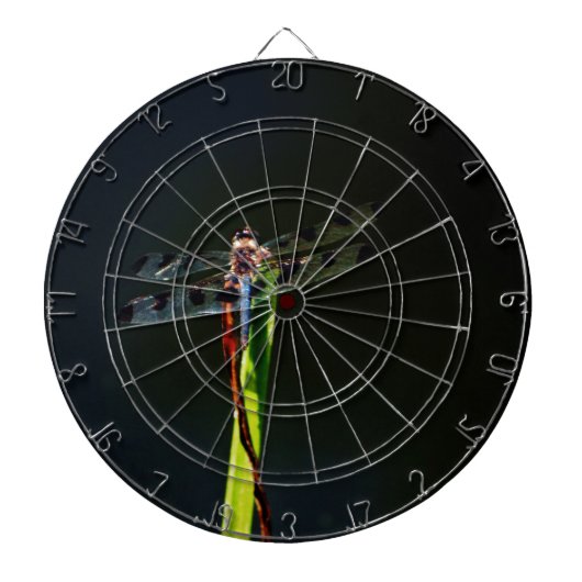 Blauwe en zwarte Dragonfly op groen en rood gras Dartbord (Voorkant)