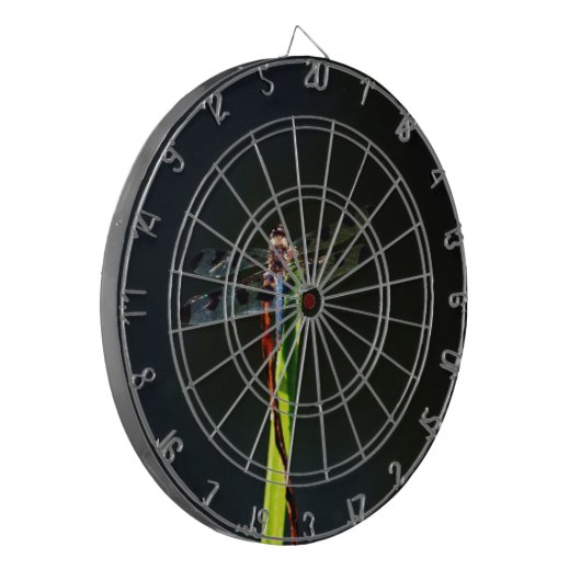 Blauwe en zwarte Dragonfly op groen en rood gras Dartbord (Voorkant Links)