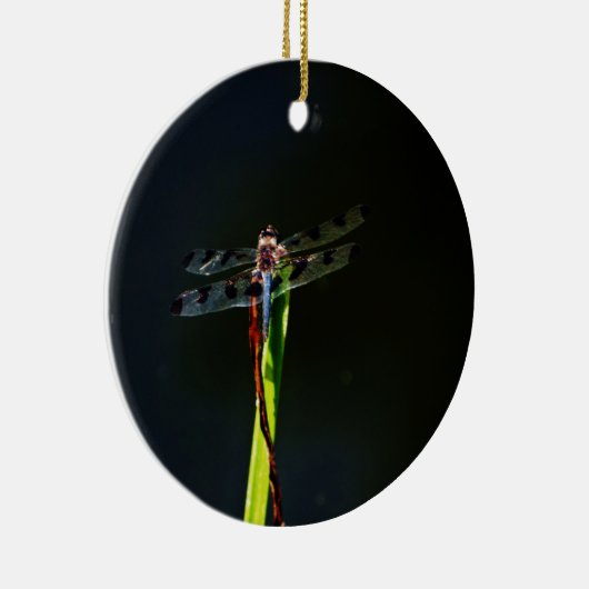 Blauwe en zwarte Dragonfly op groen en rood gras Keramisch Ornament (Rechts)