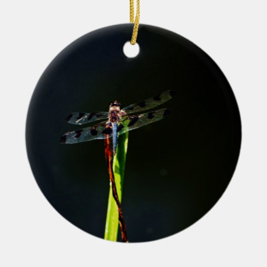 Blauwe en zwarte Dragonfly op groen en rood gras Keramisch Ornament (Voorkant)