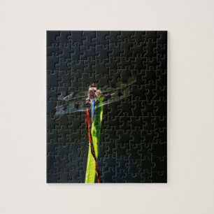 Blauwe en zwarte Dragonfly op groen en rood gras Legpuzzel
