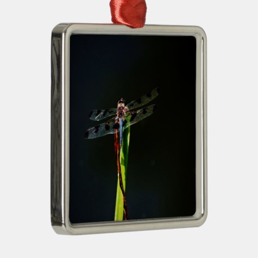 Blauwe en zwarte Dragonfly op groen en rood gras Metalen Ornament (Rechts)