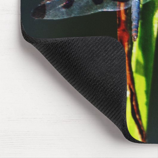 Blauwe en zwarte Dragonfly op groen en rood gras Muismat (Hoek)