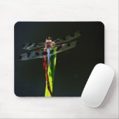 Blauwe en zwarte Dragonfly op groen en rood gras Muismat (Met muis)