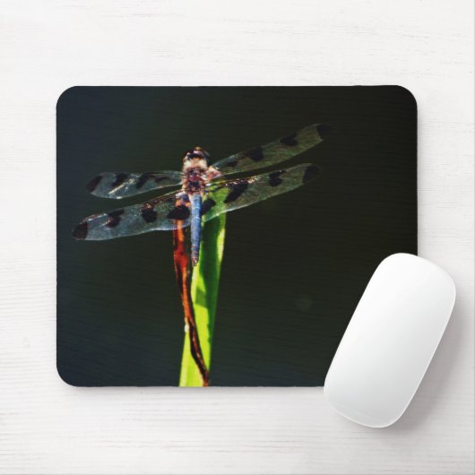 Blauwe en zwarte Dragonfly op groen en rood gras Muismat (Met muis)