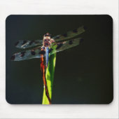 Blauwe en zwarte Dragonfly op groen en rood gras Muismat (Voorkant)