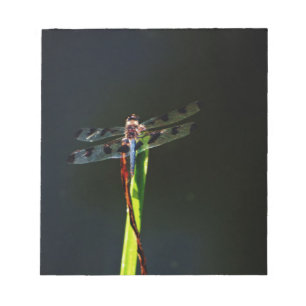 Blauwe en zwarte Dragonfly op groen en rood gras Notitieblok