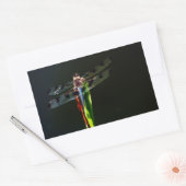 Blauwe en zwarte Dragonfly op groen en rood gras Rechthoekige Sticker (Envelop)