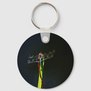 Blauwe en zwarte Dragonfly op groen en rood gras Sleutelhanger
