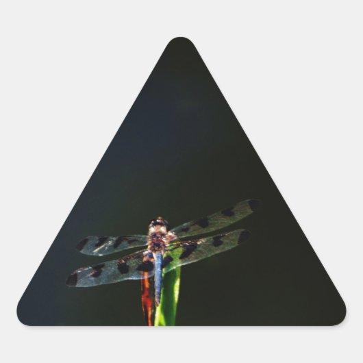 Blauwe en zwarte Dragonfly op groen en rood gras Sticker (Voorkant)