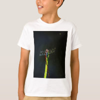 Blauwe en zwarte Dragonfly op groen en rood gras