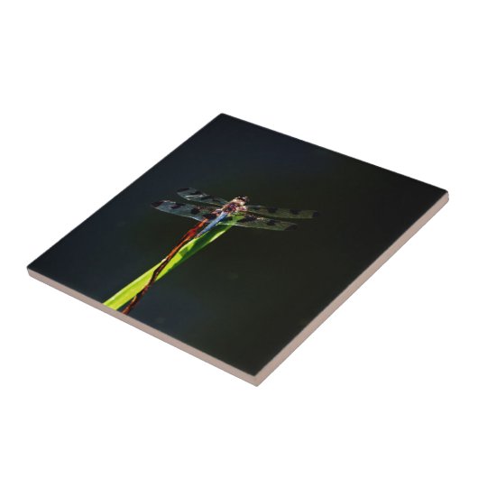 Blauwe en zwarte Dragonfly op groen en rood gras Tegeltje (Zijkant)