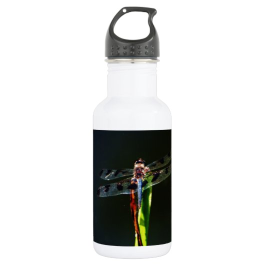 Blauwe en zwarte Dragonfly op groen en rood gras Waterfles (Voorkant)