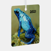 Blauwe en zwarte gifkonkikker metalen ornament (Voorkant Rechts)